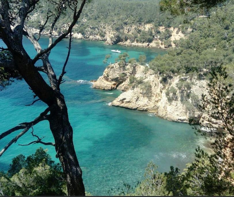 Charmand En Avec Piscine * Bandol