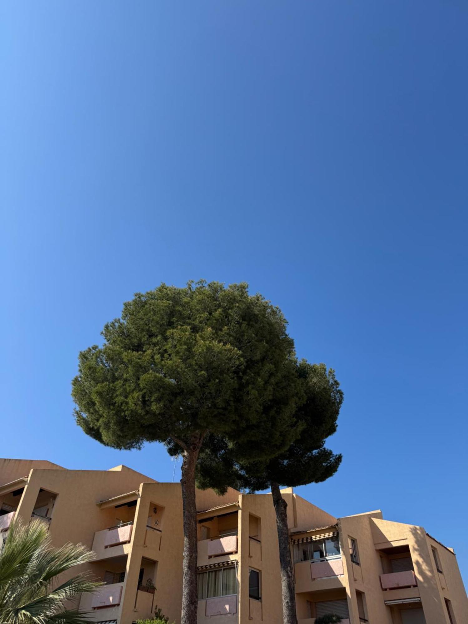 Appartement Charmand En Avec Piscine Bandol